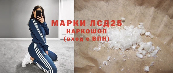 ПСИЛОЦИБИНОВЫЕ ГРИБЫ Горняк