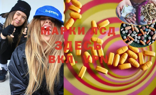 ПСИЛОЦИБИНОВЫЕ ГРИБЫ Горняк