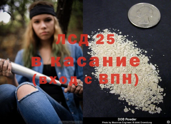 ПСИЛОЦИБИНОВЫЕ ГРИБЫ Горняк