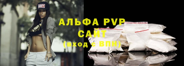 индика Дмитриев