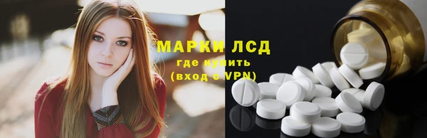 индика Дмитриев