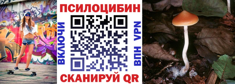 мориарти телеграм  Салават  Псилоцибиновые грибы Magic Shrooms  цены  